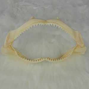Small Taxidermy Shark Jaw